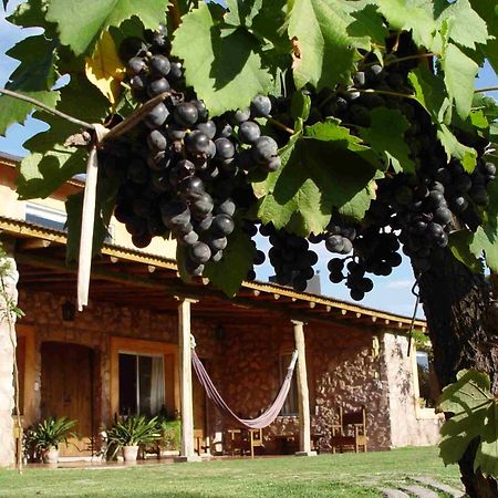 Maison d'hôtes Finca Adalgisa à Chacras de Coria Extérieur photo